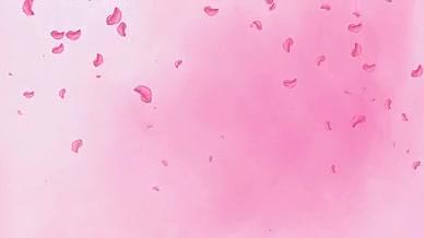 花瓣落下粉色婚礼背景视频的预览图